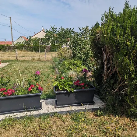 Maison De Caractere Avec Jardin Et Terrasse, Proche Langres - Fr-1-611-39 Holiday home *